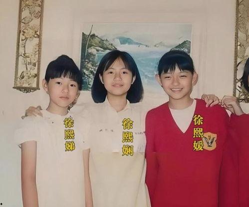 徐家姐妹爆料视频,揭秘幕后的惊人真相